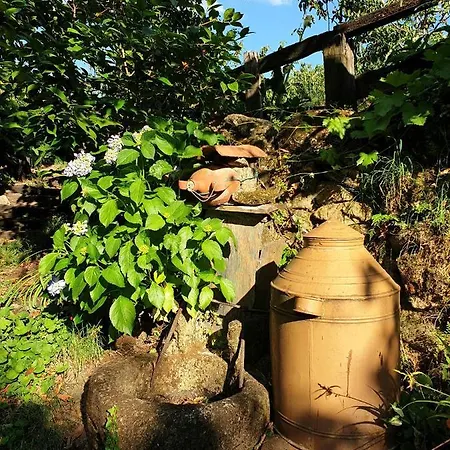 El Cerro Y El Cerezo * Navaconcejo