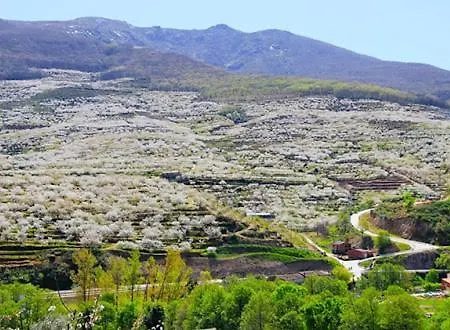 Holiday home El Cerro Y El Cerezo