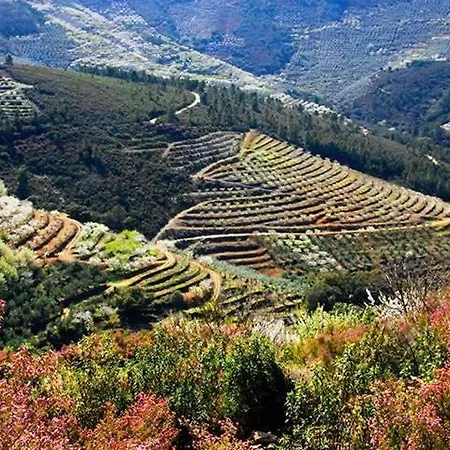 El Cerro Y El Cerezo Vakantiehuis Navaconcejo