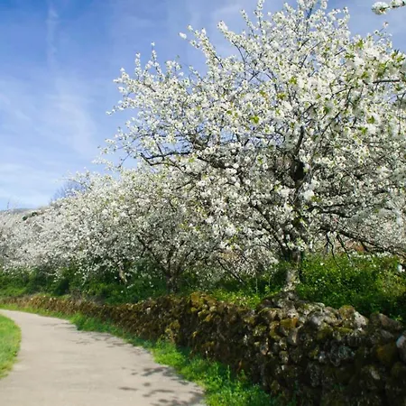 El Cerro Y El Cerezo