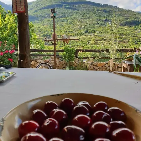 El Cerro Y El Cerezo Navaconcejo