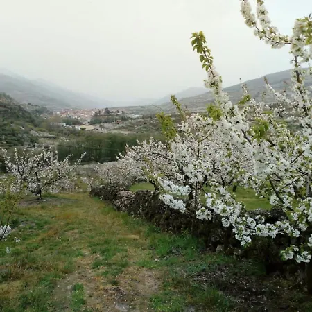 El Cerro Y El Cerezo Сasa de vacaciones Navaconcejo