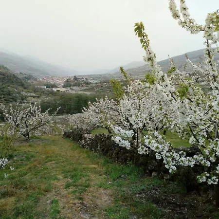 El Cerro Y El Cerezo Vakantiehuis Navaconcejo