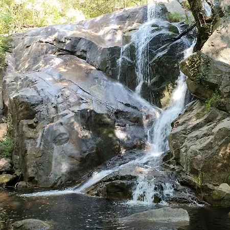 El Cerro Y El Cerezo *