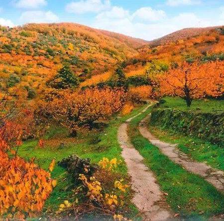 El Cerro Y El Cerezo * 나바콘세호