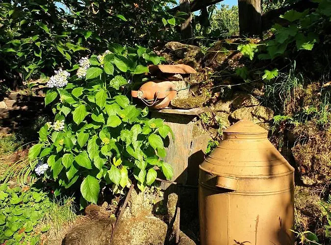 El Cerro Y El Cerezo * Navaconcejo