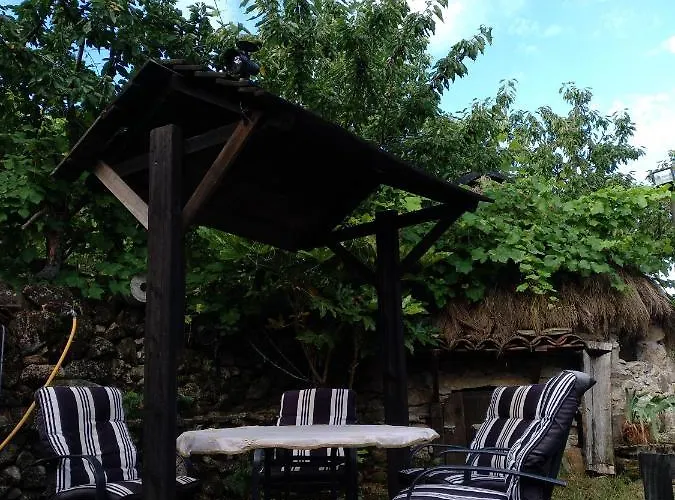 El Cerro Y El Cerezo Nyaraló *