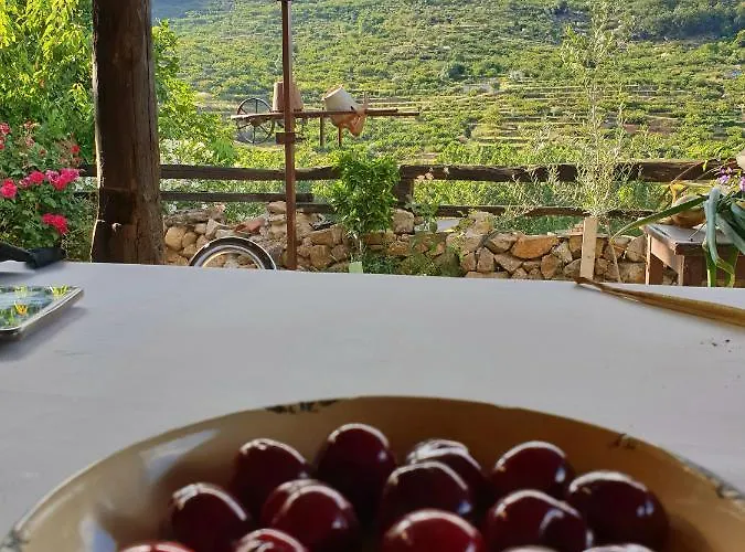El Cerro Y El Cerezo Navaconcejo
