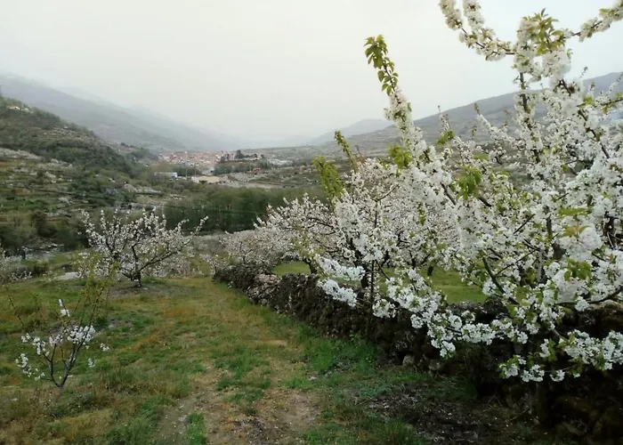 El Cerro Y El Cerezo Nyaraló Navaconcejo