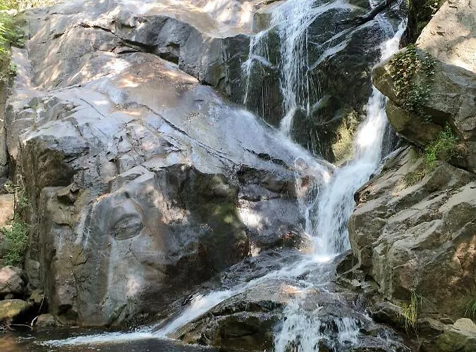 El Cerro Y El Cerezo *