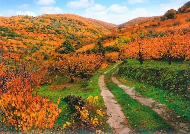 El Cerro Y El Cerezo * Navaconcejo