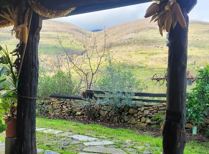 El Cerro Y El Cerezo *